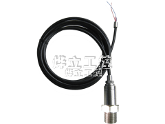 WMB-BQ潛水型壓力變送器