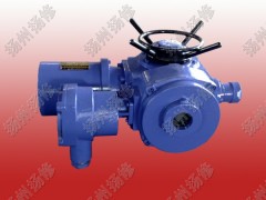 多回轉電動執(zhí)行器DZW10 DZW20 DZW30