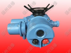 整體調(diào)節(jié)型電動(dòng)執(zhí)行器DZW120-WT DZT