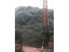 泰安生態棒廠家-保靖聚丙稀生態棒