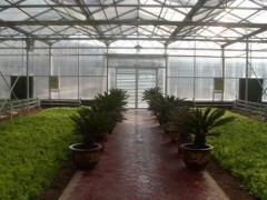 happy生態(tài)餐廳溫室專業(yè)建設(shè)，山東草