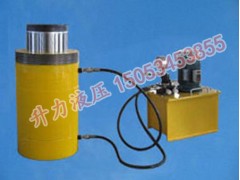 升力液壓專業(yè)供應(yīng)電動千斤頂，濱州6