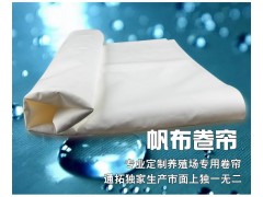 夏天臺風(fēng)炎熱季節(jié)，豬只養(yǎng)殖通拓推