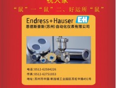 恩德斯豪斯自動(dòng)化儀表（E+H）李建2020新春寄語 一百零八星報(bào)喜之地飛星