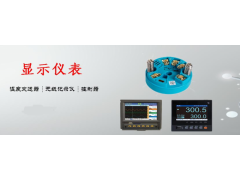 杰克儀表廠價供應數顯儀表