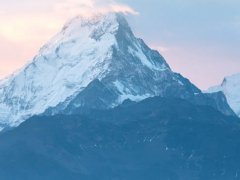 數(shù)字新基建，線上新經(jīng)濟 上海電氣“吸睛”上交會海外展