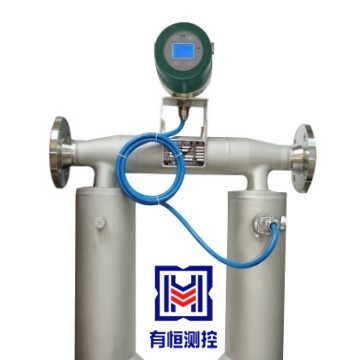 紙漿礦漿泥漿高精度科里奧利質(zhì)量流