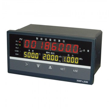 溫州新樂儀器儀表_XWP-LE80智能流量
