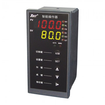 溫州新樂儀器儀表_XWP-NS835系列