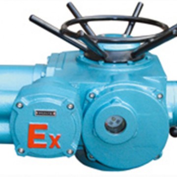 DZB20-18 隔爆型電動頭