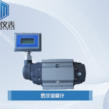 恒滿測控_羅茨流量計_流量計