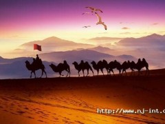 智慧制造 賦能未來丨柬埔寨馬德望海螺光伏儲能電站項目并網發電