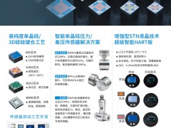 德爾森在單晶硅傳感器領(lǐng)域的領(lǐng)導(dǎo)地位及其應(yīng)用領(lǐng)域