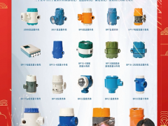 金湖縣金康儀表廠 總經理 黃玉華 2024年新春寄語