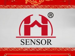 江門恒敏智控儀表有限公司?總經(jīng)理劉鐵輝 2025年新春寄語