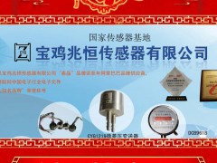 寶雞兆恒傳感器有限公司 總經(jīng)理 祁新明 2025年新春寄語