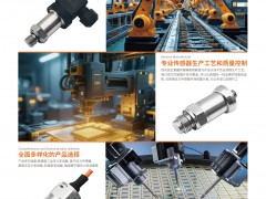 深圳市思頓傳感技術有限公司入刊《儀表與測量控制》系列客戶報道22