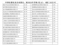 中國儀器儀表企業(yè)排名，按2024年營收(億元)，A股上市公司
