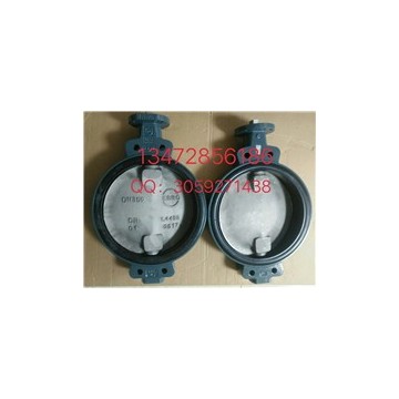 現貨供應德國依博羅蝶閥Z011-A DN35